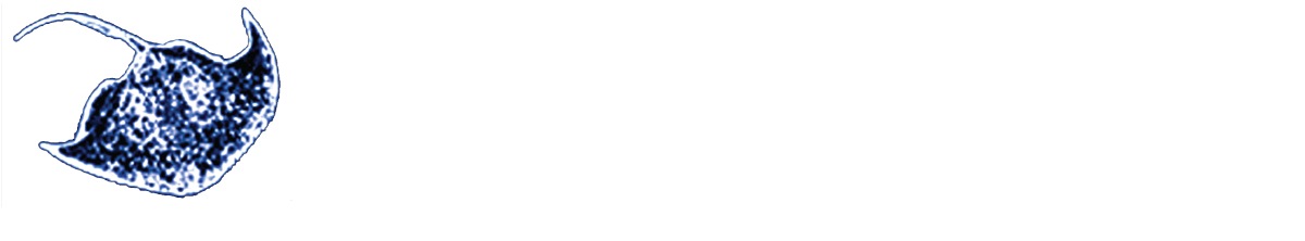 X-Ray Mag